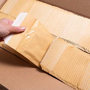 Padded Envelopes